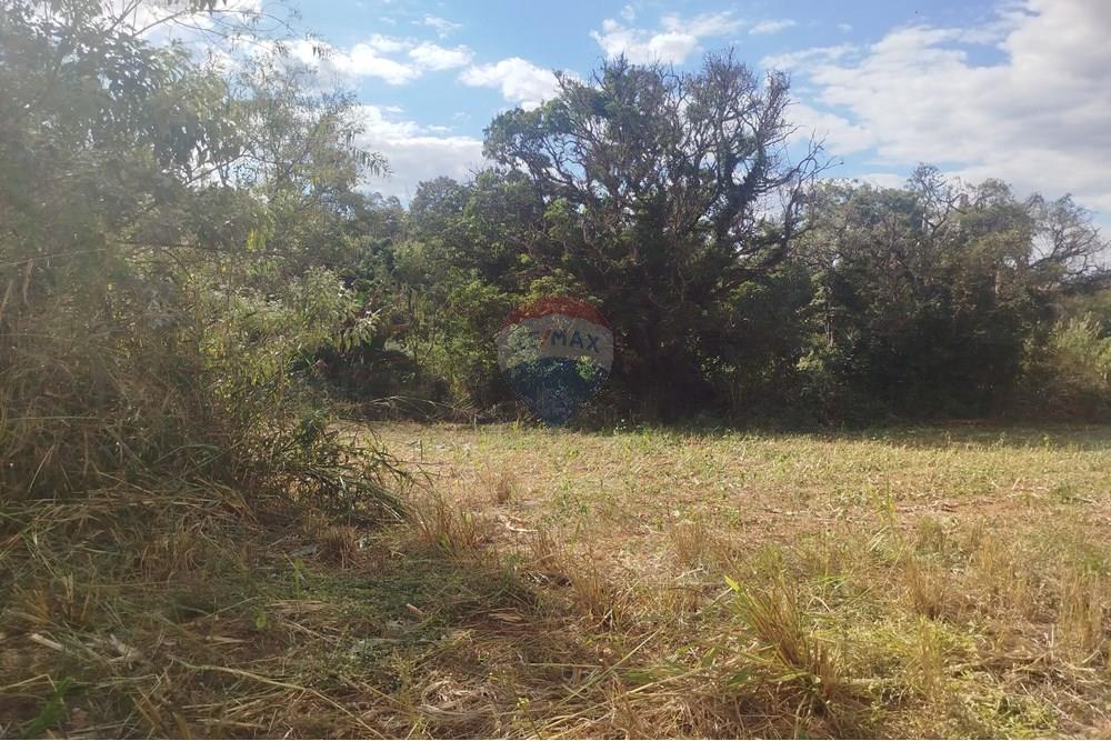 Chácara / Sítio / Fazenda - Venda - Itapira , São Paulo - IMG_20250620_135432.jpg - 690521014-142