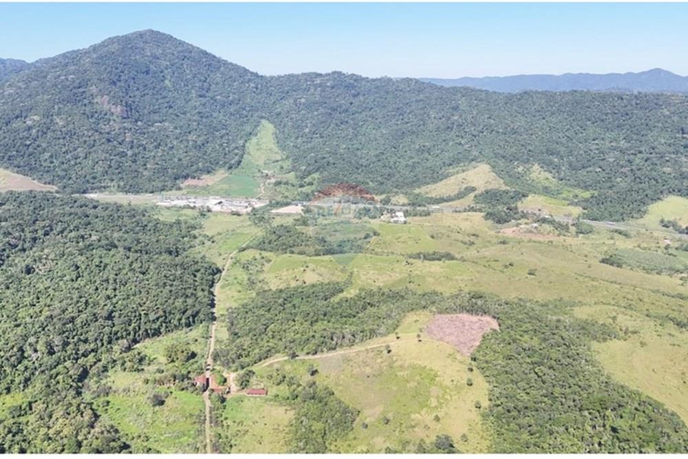 Fazenda - Venda - Miracatu , São Paulo - WhatsApp Image 2025-05-20 at 13.33.55.jpeg - 690061038-9