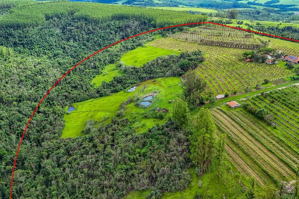 Fazenda - Venda - Analândia , São Paulo - Tratada - Drone-30.jpg - 690691016-305