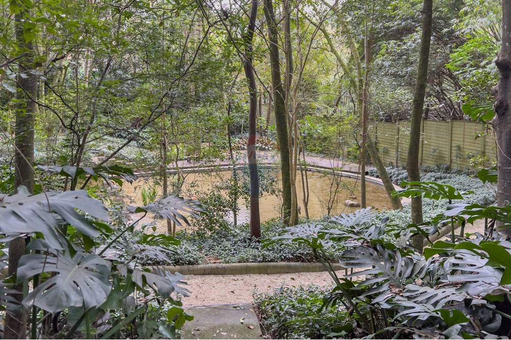 Apartamento - Venda - Osasco , São Paulo - IMG_2015.jpg - 690351013-21