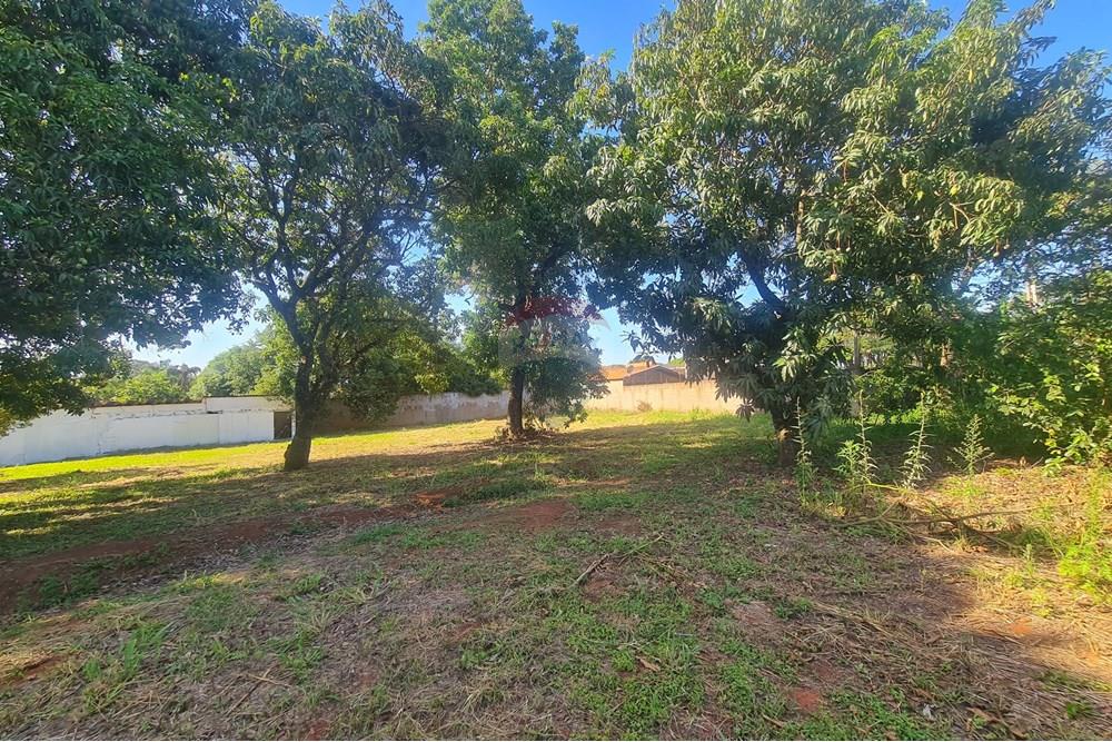 Agro - Alugar - Artur Nogueira , São Paulo - 20251120_160155.jpg - 690671009-93