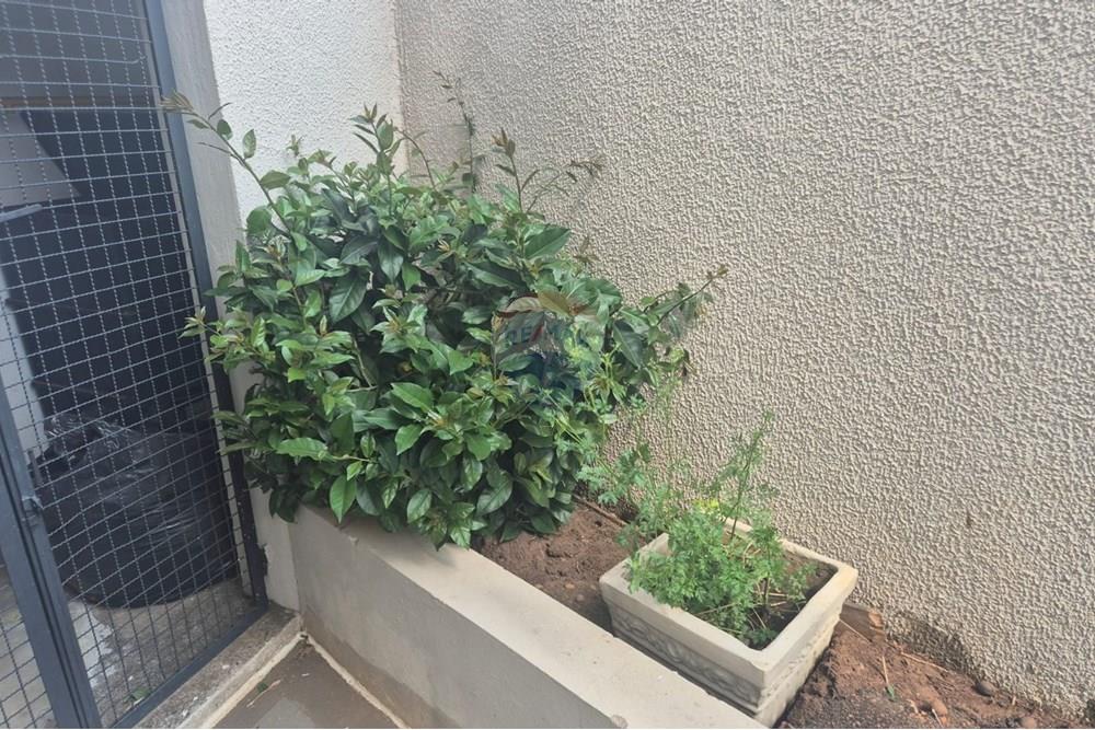 Apartamento - Alugar - Vinhedo , São Paulo - 78f37402-a1f9-472f-aa48-81c4899913b3.jpg - 690851008-545