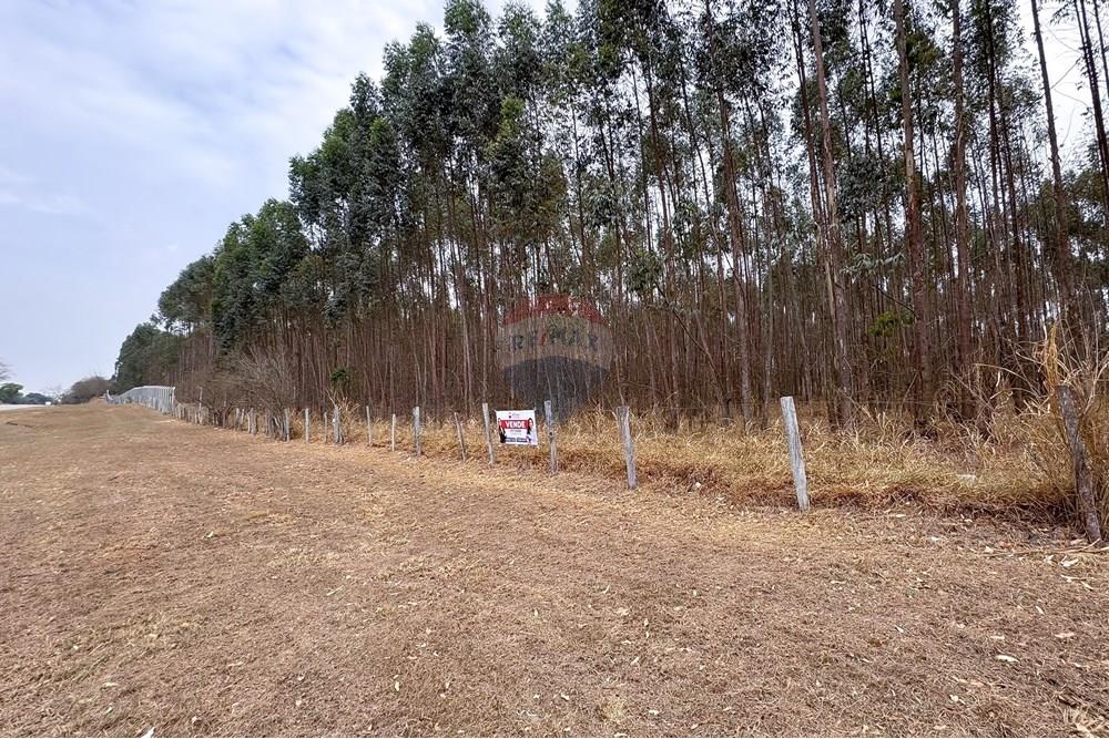 Terreno - Venda - Capivari , São Paulo - IMG_8735.jpg - 690091006-562