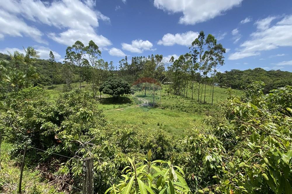 Fazenda - Venda - Pariquera-Açu , São Paulo - IMG_6139.jpg - 690061038-24