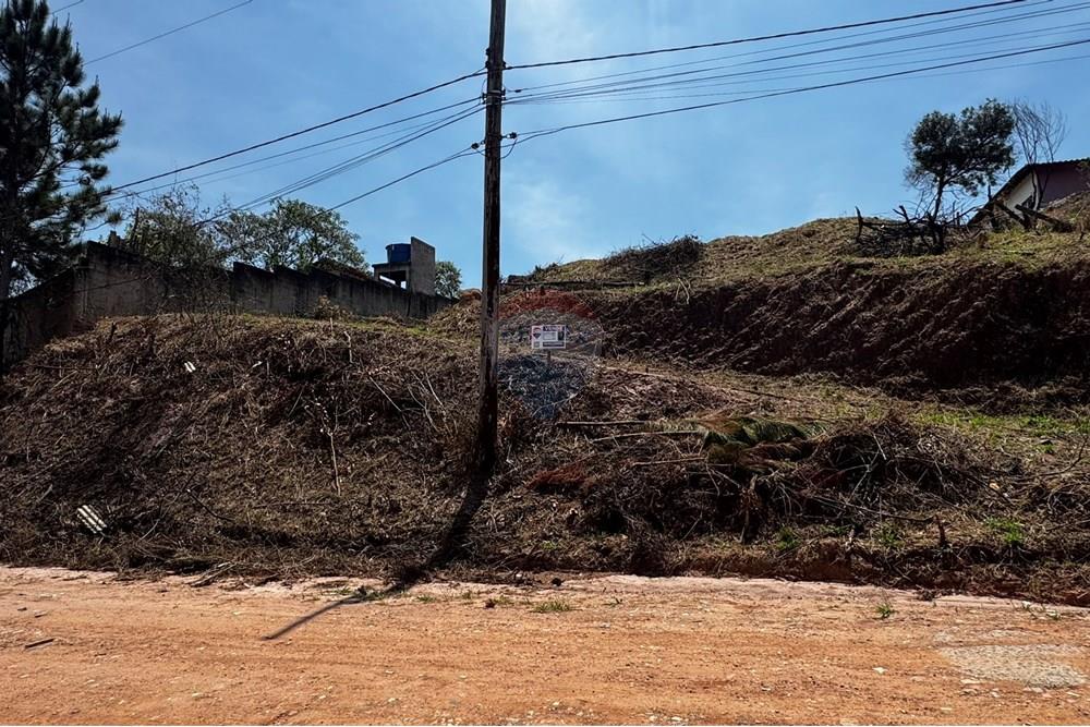 Terreno - Venda - Jarinu , São Paulo - IMG_3326.JPEG - 691121003-32