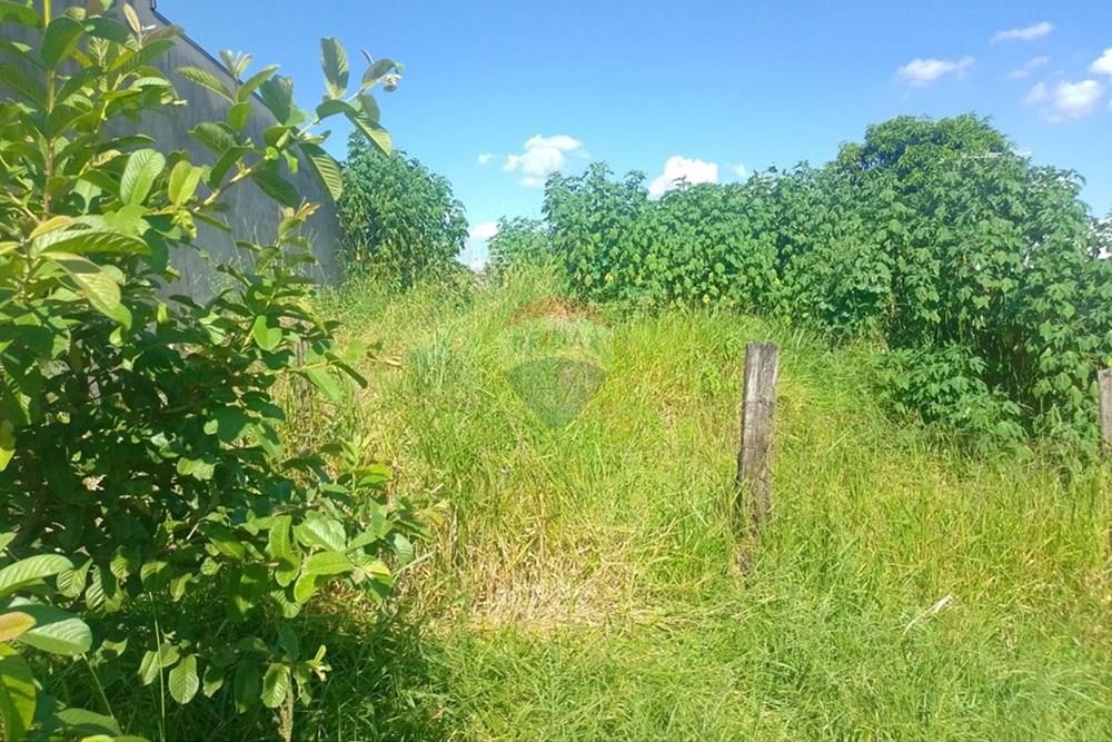 Terreno - Venda - Mogi Mirim , São Paulo - WhatsApp Image 2026-03-04 at 23.28.51.jpeg - 690751108-20