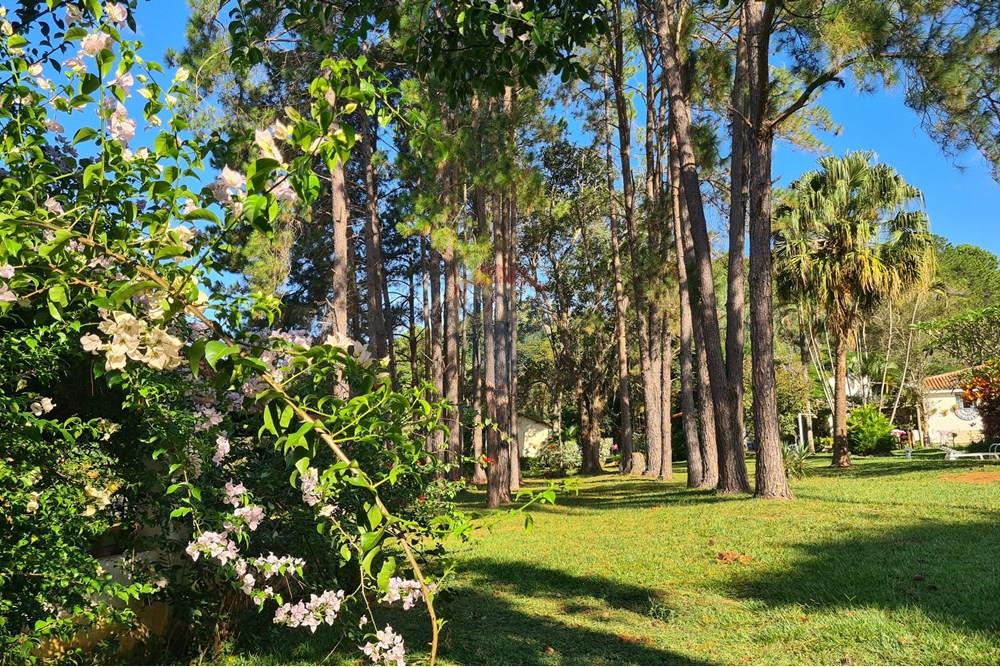 Chácara / Sítio / Fazenda - Venda - Bragança Paulista , São Paulo - 20250321_160408.jpg - 690041041-37