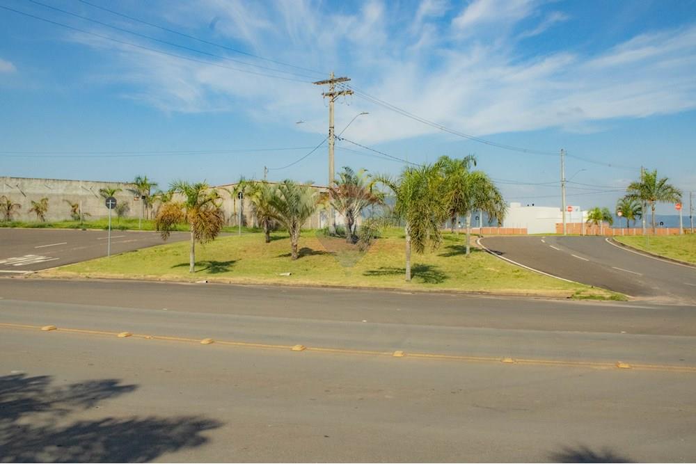 Terreno - Venda - Ipeúna , São Paulo - IMG_0380.jpg - 690811057-58