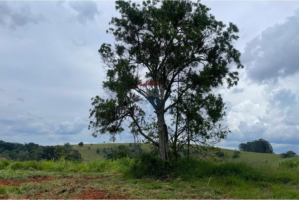 Chácara / Sítio / Fazenda - Venda - Itatiba , São Paulo - Luiz VII.jpeg - 690661101-13