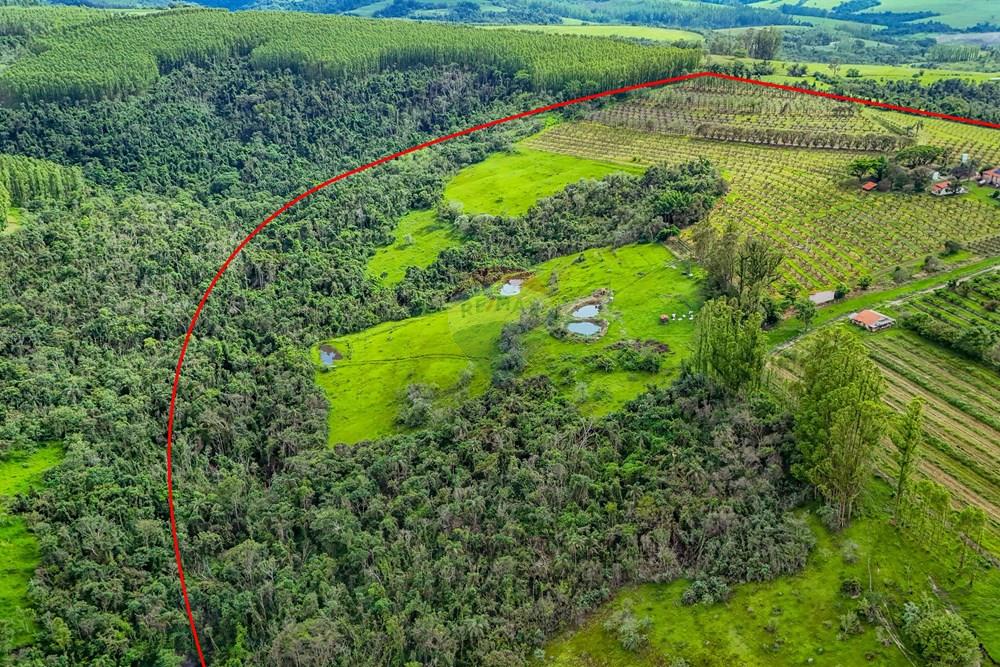 Fazenda - Venda - Analândia , São Paulo - Tratada - Drone-31.jpg - 690691016-305