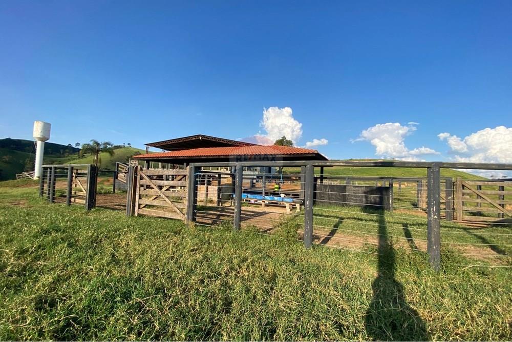 Chácara / Sítio / Fazenda - Venda - Socorro , São Paulo - WhatsApp Image 2026-03-04 at 13.32.21 (1).jpeg - 690041167-12