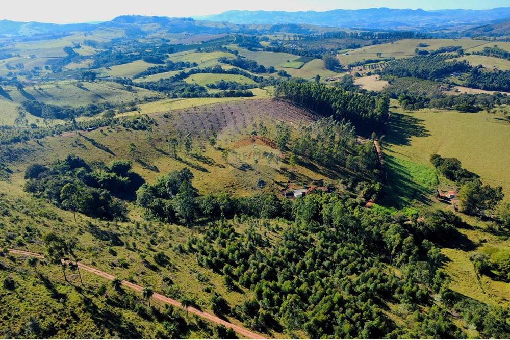 Chácara / Sítio / Fazenda - Venda - Socorro , São Paulo - dji_fly_20250617_094202_203_1750164208645_photo_optimized.jpg - 690291056-39