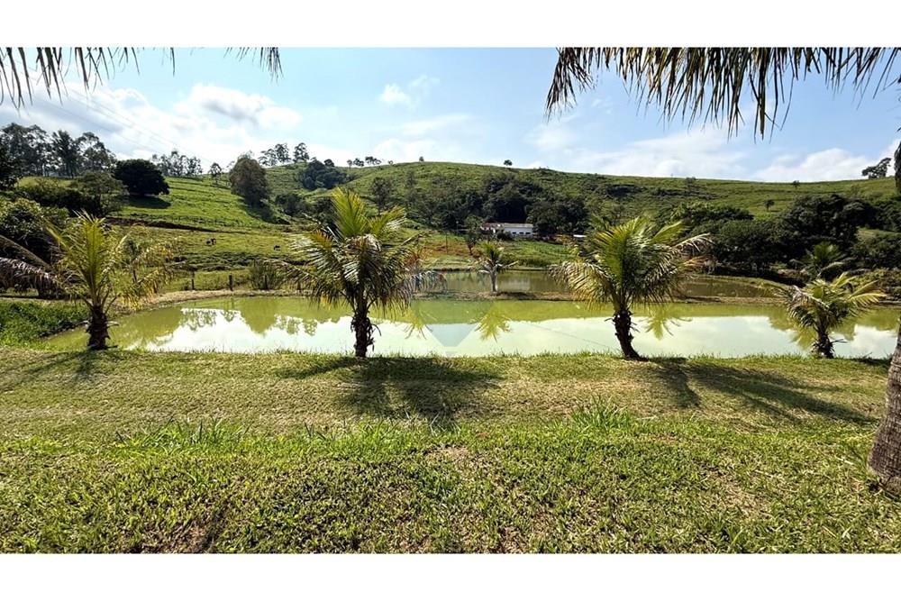 Chácara / Sítio / Fazenda - Venda - Itapira , São Paulo - WhatsApp Image 2025-04-16 at 08.27.14 (1).jpeg - 690751048-152