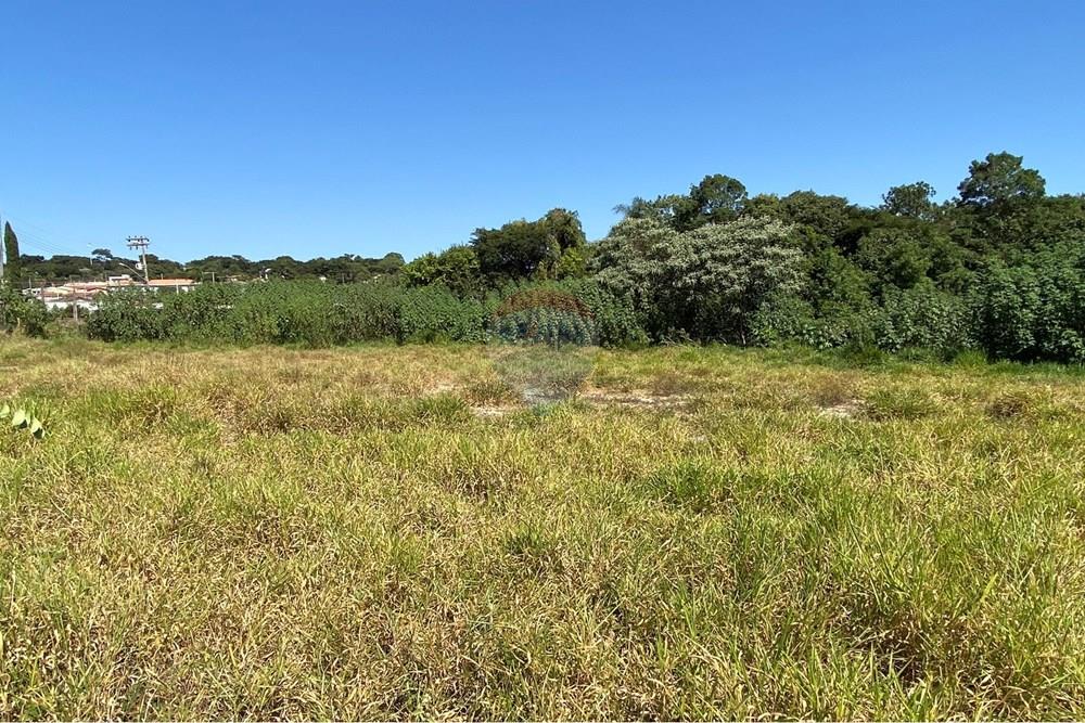 Chácara / Sítio / Fazenda - Venda - Jarinu , São Paulo - IMG_2310.JPEG - 691121003-41