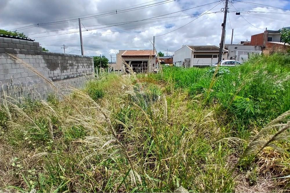 Terreno - Venda - Americana , São Paulo - 20260226_124512.jpg - 691071037-3