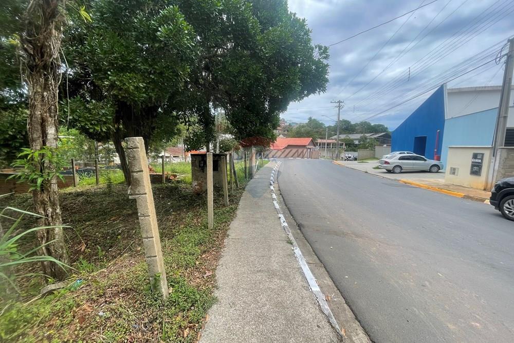 Terreno - Venda - Pariquera-Açu , São Paulo - IMG_9405.jpeg - 690061044-13