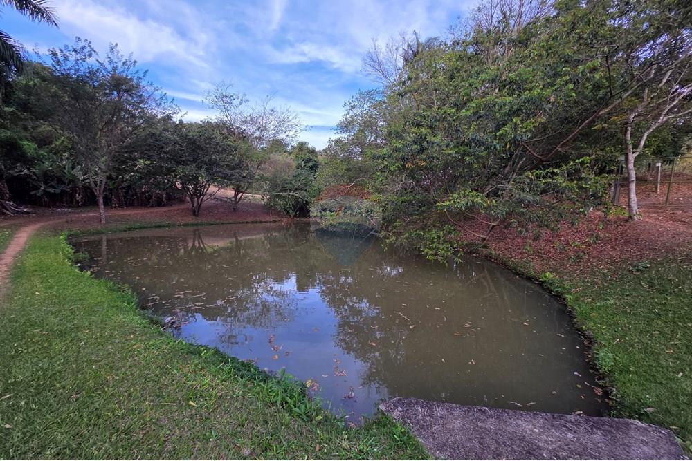 Chácara / Sítio / Fazenda - Venda - Itapira , São Paulo - 20250902_171818.jpg - 690521005-184