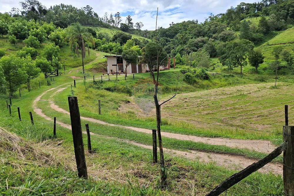 Chácara / Sítio / Fazenda - Venda - Amparo , São Paulo - 20260121_143847.jpg - 690681090-49