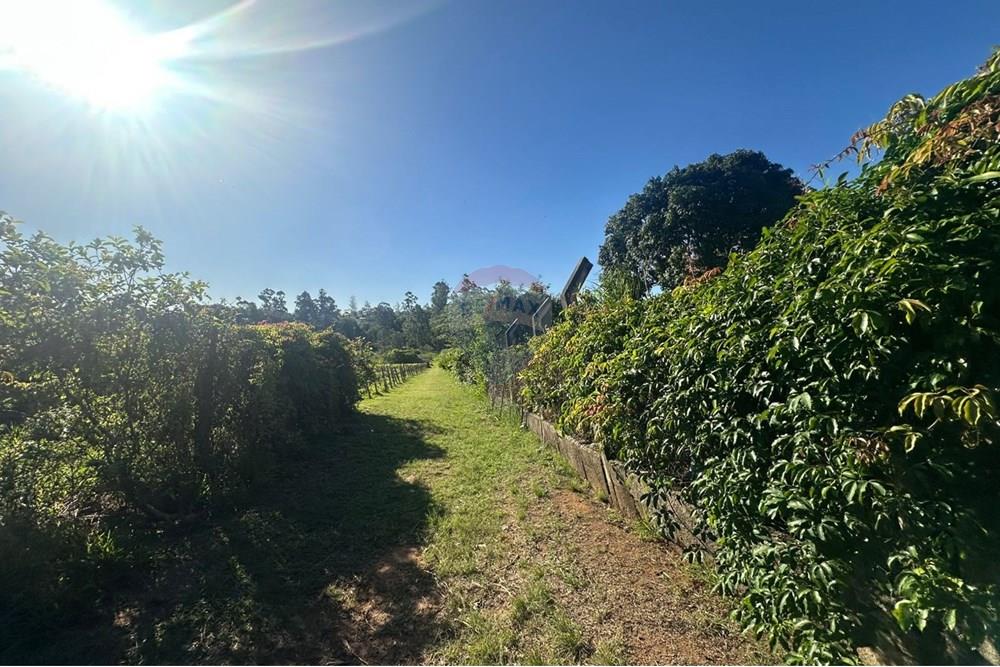 Chácara / Sítio / Fazenda - Venda - Jundiaí , São Paulo - WhatsApp Image 2025-10-23 at 13.29.03 (2).jpeg - 690801041-183