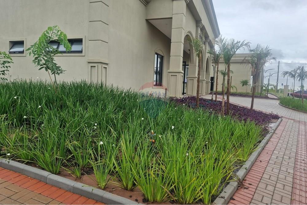 Terreno - Venda - Paulínia , São Paulo - WhatsApp Image 2026-02-11 at 15.20.21.jpeg - 690511140-81