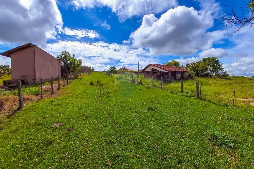 Fazenda - Venda - Analândia , São Paulo - Tratada-19.jpg - 690691016-305