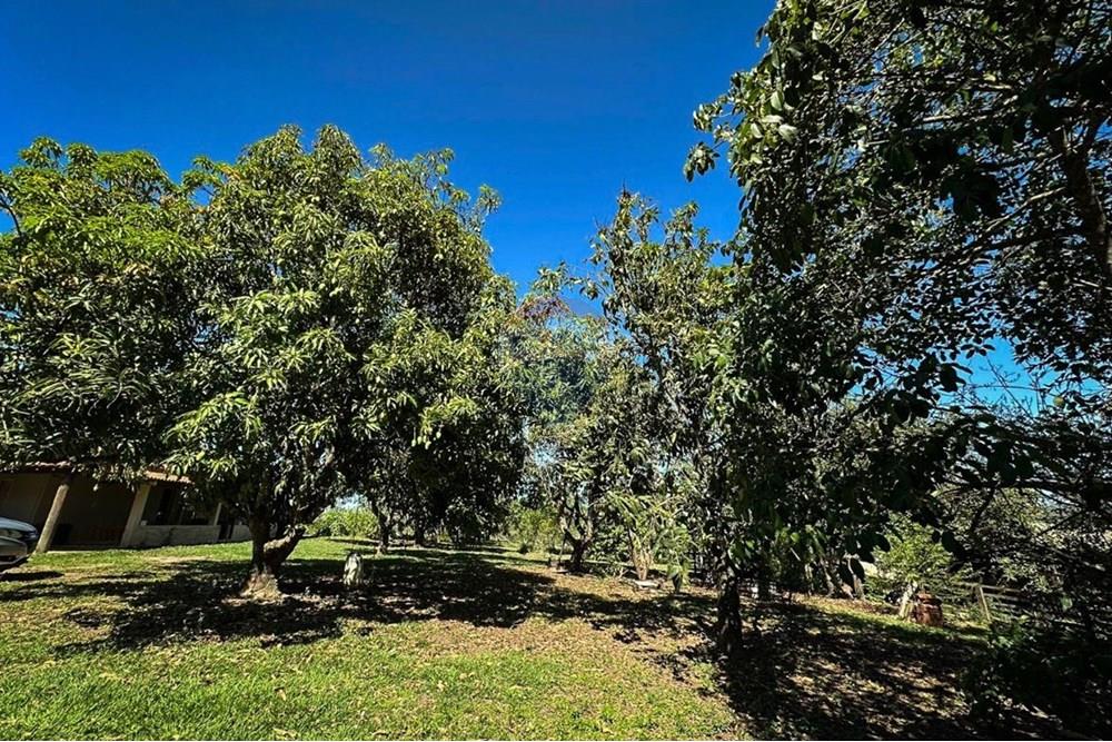 Agro - Venda - Rio Claro , São Paulo - 33.jpeg - 690901035-38