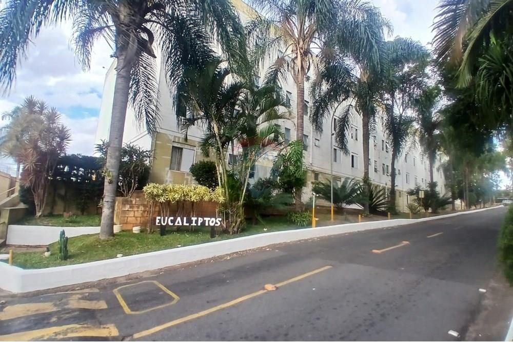 Apartamento - Venda - Campinas , São Paulo - WhatsApp Image 2025-06-13 at 14.38.17 (1).jpeg - 690531094-10