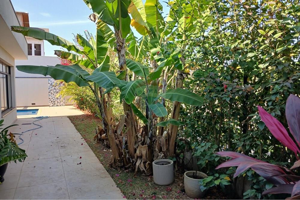 Casa - Alugar - Jaguariúna , São Paulo - 1000130501.jpg - 690671068-36