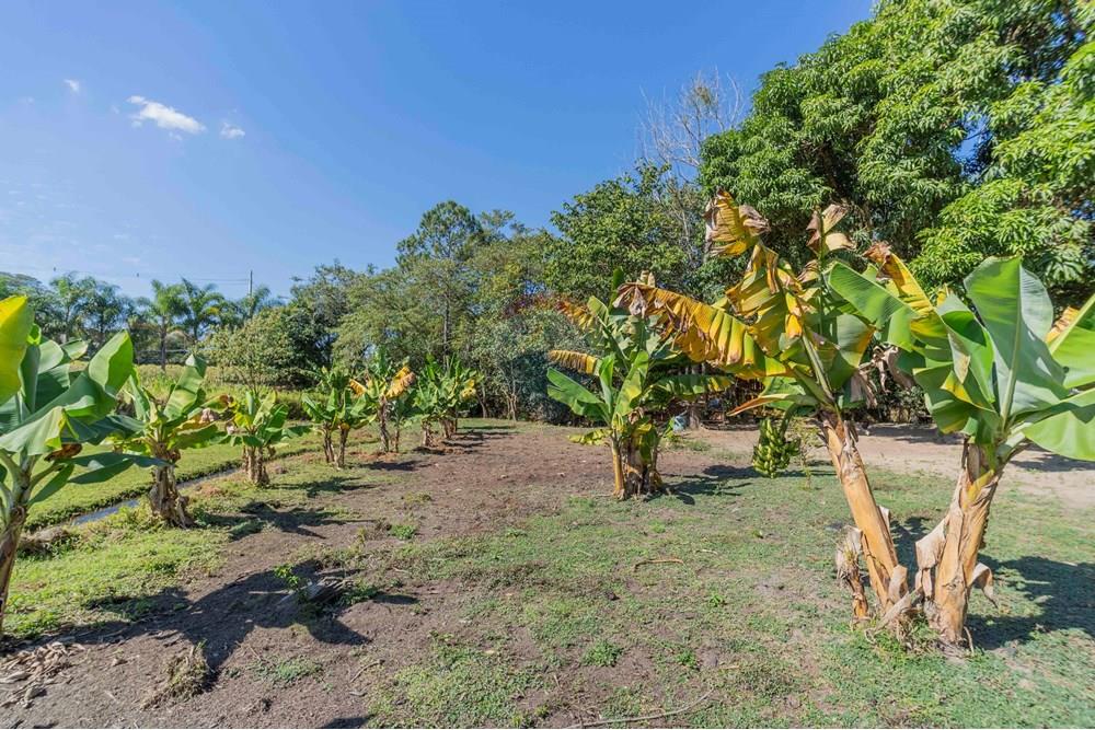 Chácara / Sítio / Fazenda - Venda - Itatiba , São Paulo - foto imobiliarias- brmaker00-359.jpg - 690661026-143