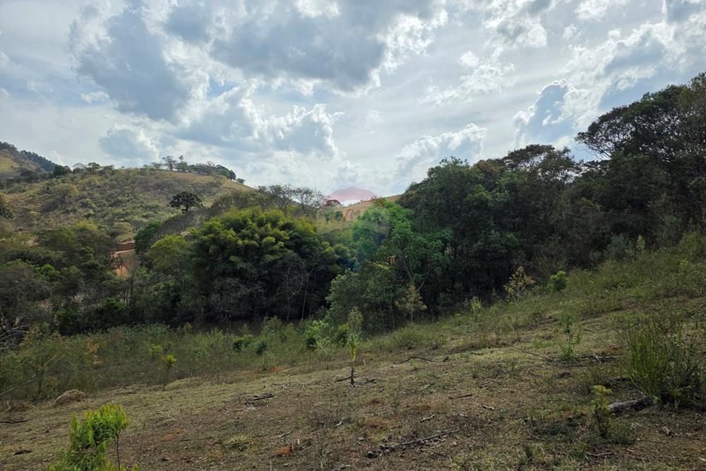 Terreno - Venda - Camanducaia , Minas Gerais - 20250919_144110.jpg - 690041041-51