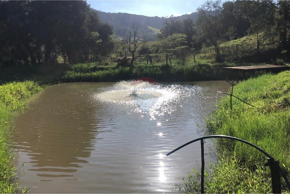 Chácara / Sítio / Fazenda - Venda - Santa Maria da Serra , São Paulo - d400385d-3dc6-4712-a562-0e5d6958a62e.jpg - 690571076-32