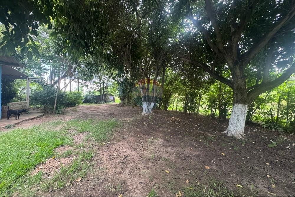 Chácara / Sítio / Fazenda - Venda - Araras , São Paulo - WhatsApp Image 2026-01-13 at 09.27.39.jpeg - 690691043-147