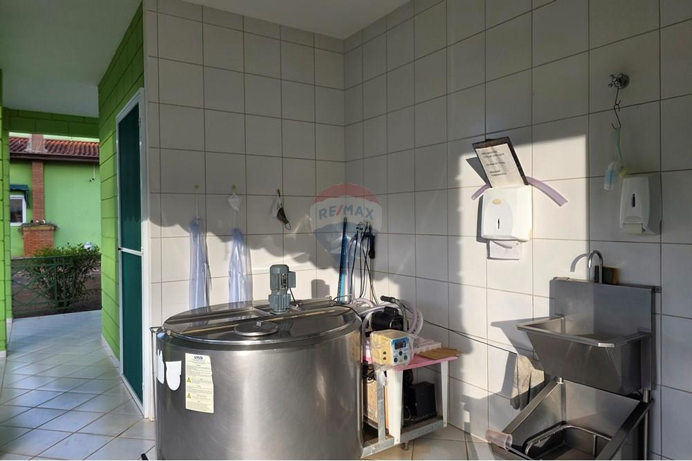 Chácara / Sítio / Fazenda - Venda - Itapira , São Paulo - 20250902_170539.jpg - 690521005-184