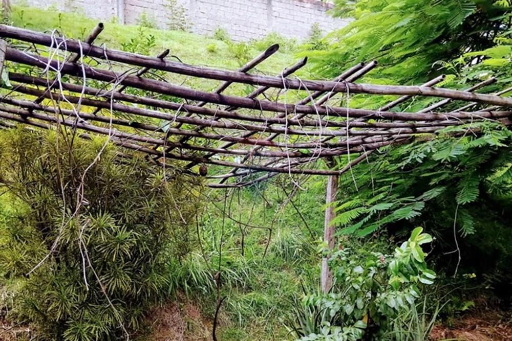 Casa - Venda - Itapira , São Paulo - WhatsApp Image 2026-01-14 at 14.38.54.jpeg - 690291083-28