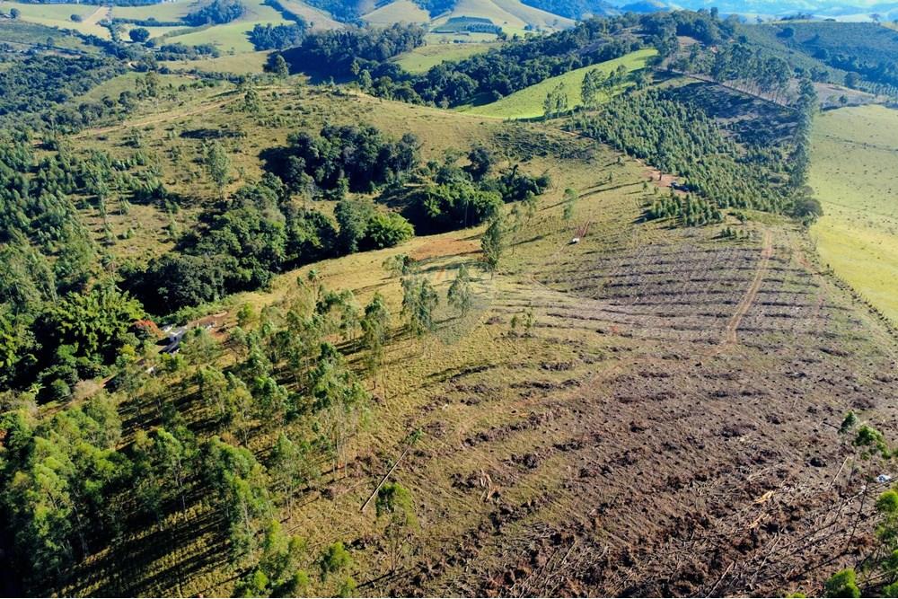 Chácara / Sítio / Fazenda - Venda - Socorro , São Paulo - dji_fly_20250617_094012_198_1750164043999_photo_optimized.jpg - 690291056-39