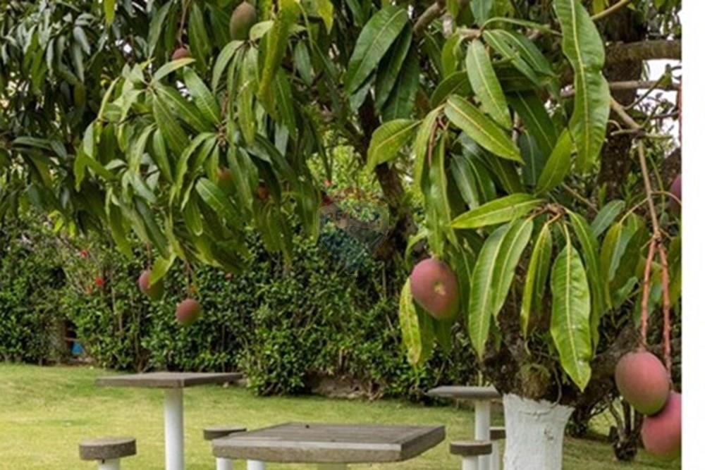 Casa de Condomínio - Venda - Itupeva , São Paulo - _C8A3098-HDR-50.jpg - 690801020-213