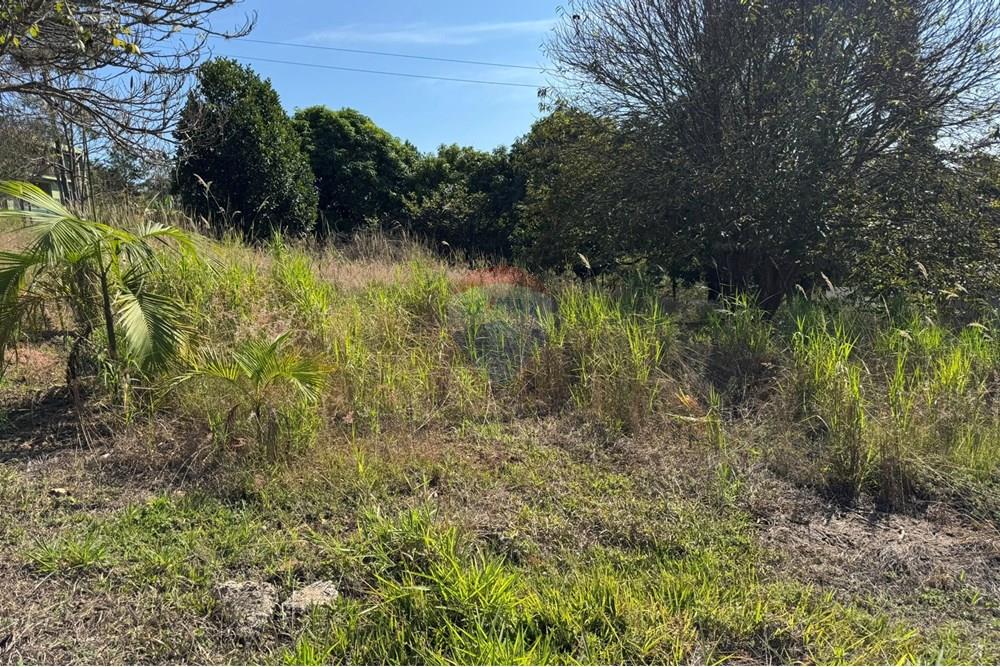 Chácara / Sítio / Fazenda - Venda - Jarinu , São Paulo - z26.JPEG - 691121003-24