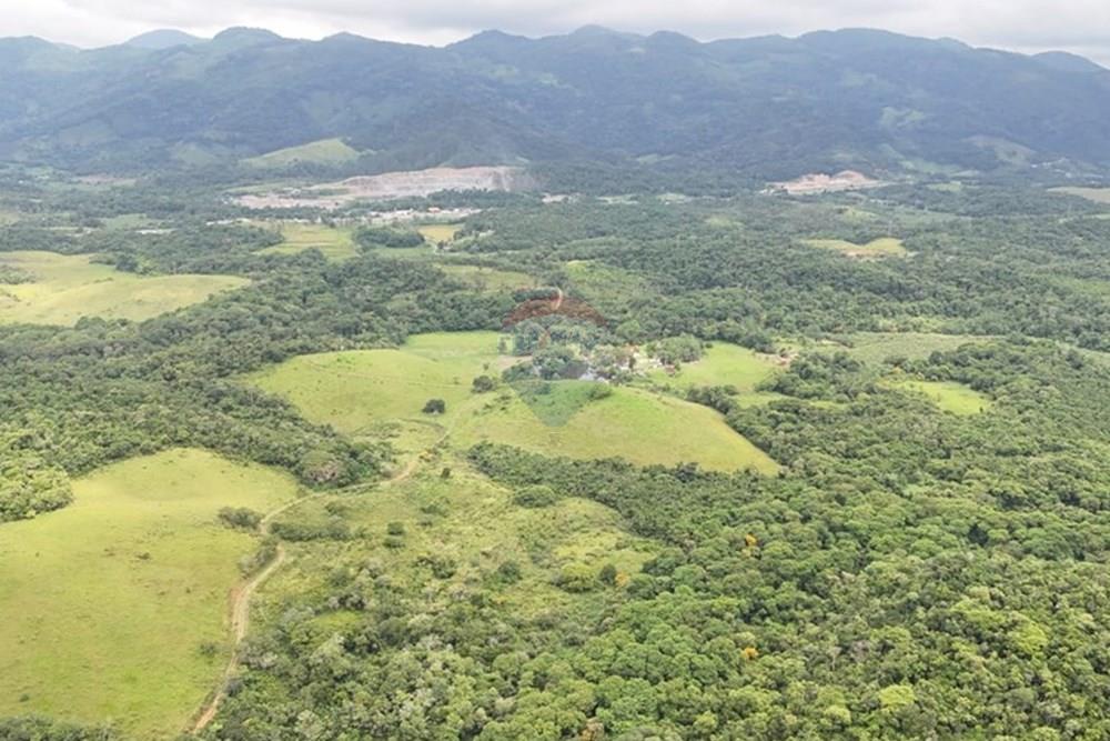 Fazenda - Venda - Miracatu , São Paulo - WhatsApp Image 2025-04-10 at 13.48.42.jpeg - 690061038-2