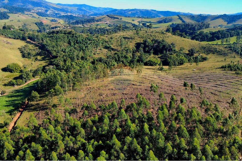 Chácara / Sítio / Fazenda - Venda - Socorro , São Paulo - dji_fly_20250617_093958_197_1750164009388_photo_optimized.jpg - 690291056-39