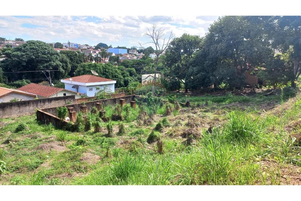 Elamine - Kinnistu - Mogi Mirim , Sao Paulo - BR - 15.jpeg - 690751001-228