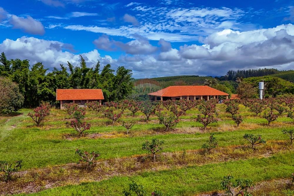 Fazenda - Venda - Analândia , São Paulo - Tratada - Drone-93.jpg - 690691016-305
