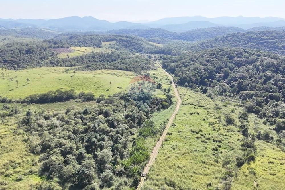 Fazenda - Venda - Miracatu , São Paulo - WhatsApp Image 2025-05-20 at 13.34.34.jpeg - 690061038-9