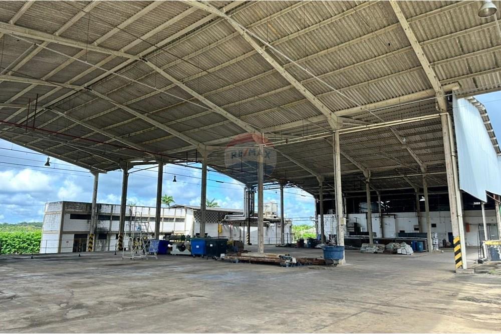 Galpão - Venda - Registro , São Paulo - WhatsApp Image 2025-06-09 at 11.52.51 (2).jpeg - 690061038-10