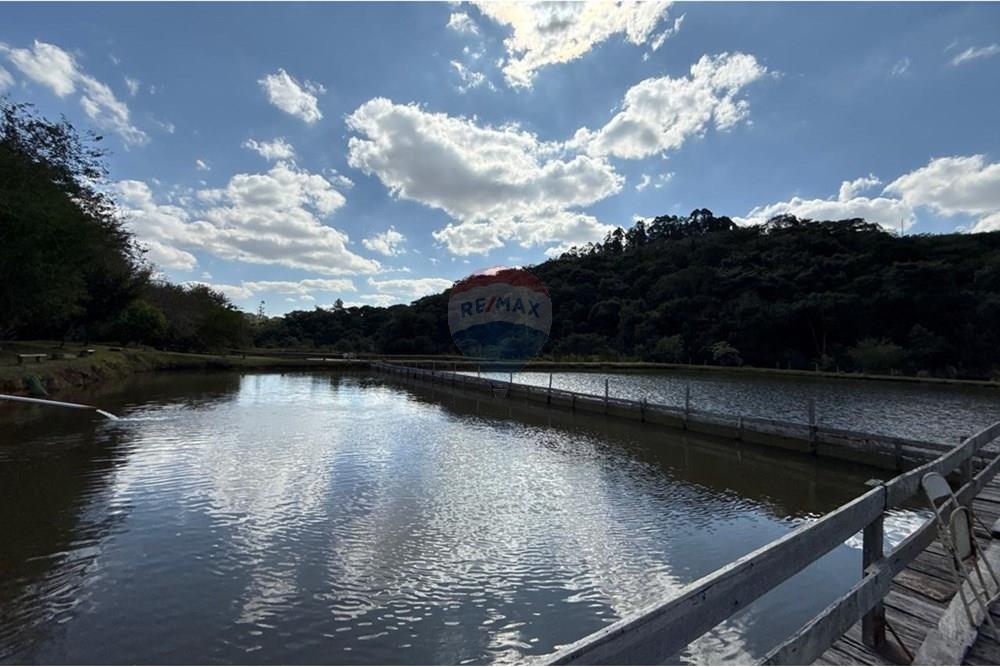 Chácara / Sítio / Fazenda - Venda - Ouro Fino , Minas Gerais - 667fc387-8743-46e4-87a0-655152e80441.jpg - Jardim Externo - 690521014-121