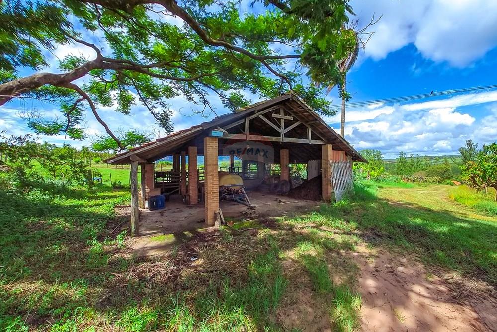 Fazenda - Venda - Analândia , São Paulo - Tratada-12.jpg - 690691016-305