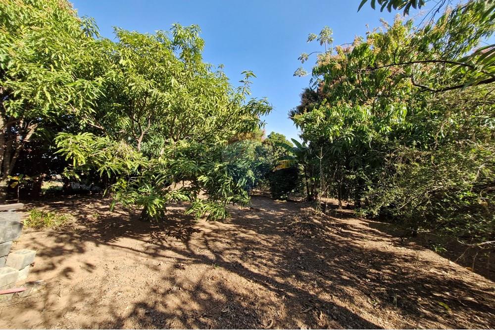 Residential - Land - Jaguariúna , Sao Paulo - BR - 20250814_151810.jpg - 690671008-326