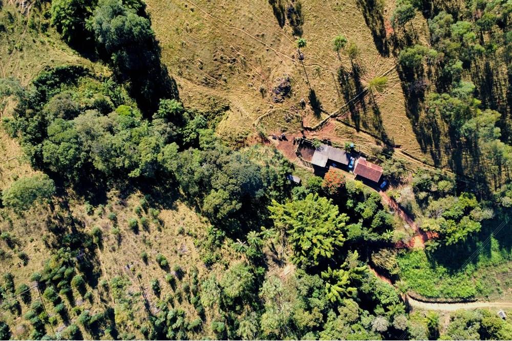 Chácara / Sítio / Fazenda - Venda - Socorro , São Paulo - dji_fly_20250617_095508_226_1750164916960_photo_optimized.jpg - 690291056-39