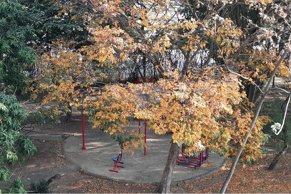 Apartamento - Venda - Campinas , São Paulo - WhatsApp Image 2025-09-25 at 15.53.16 (2).jpeg - 690511202-38