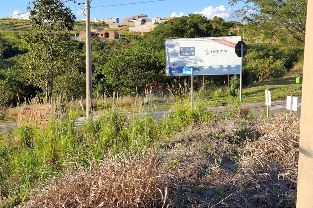 Terreno - Venda - São João da Boa Vista , São Paulo - 20250601_163343.jpg - 690681090-39