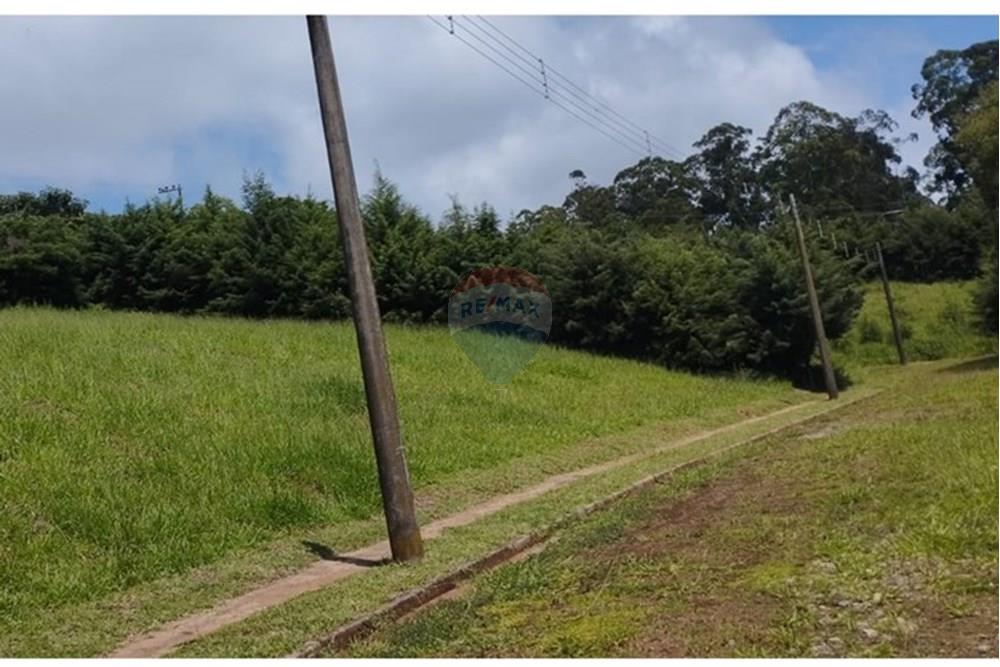 Terreno - Venda - Bragança Paulista , São Paulo - IMG-20250624-WA0218.jpg - 690041052-99